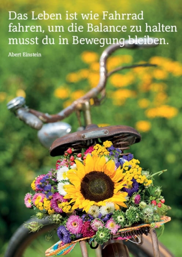 Postkarte TLD39